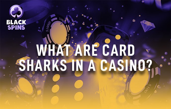 what are card sharks in a casino