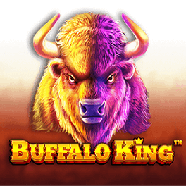 Buffalo King