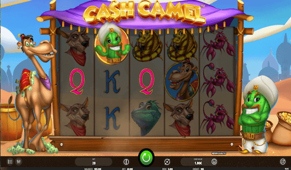 cash camel slot game