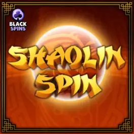 shaolin spin