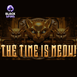 The Time is Meow